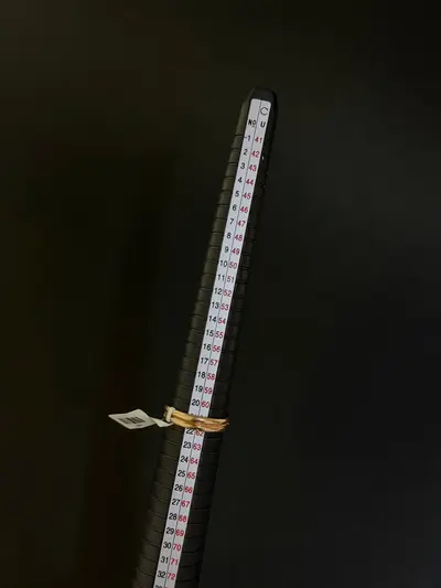 inel3.3.jpg