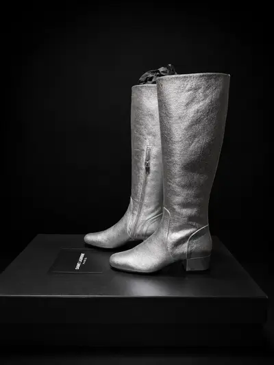 ysl1.2.png