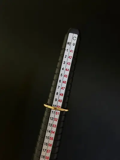 inel1.5.jpg