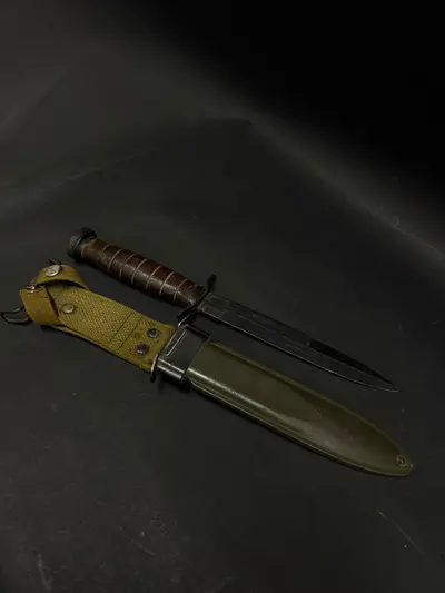c5.jpg