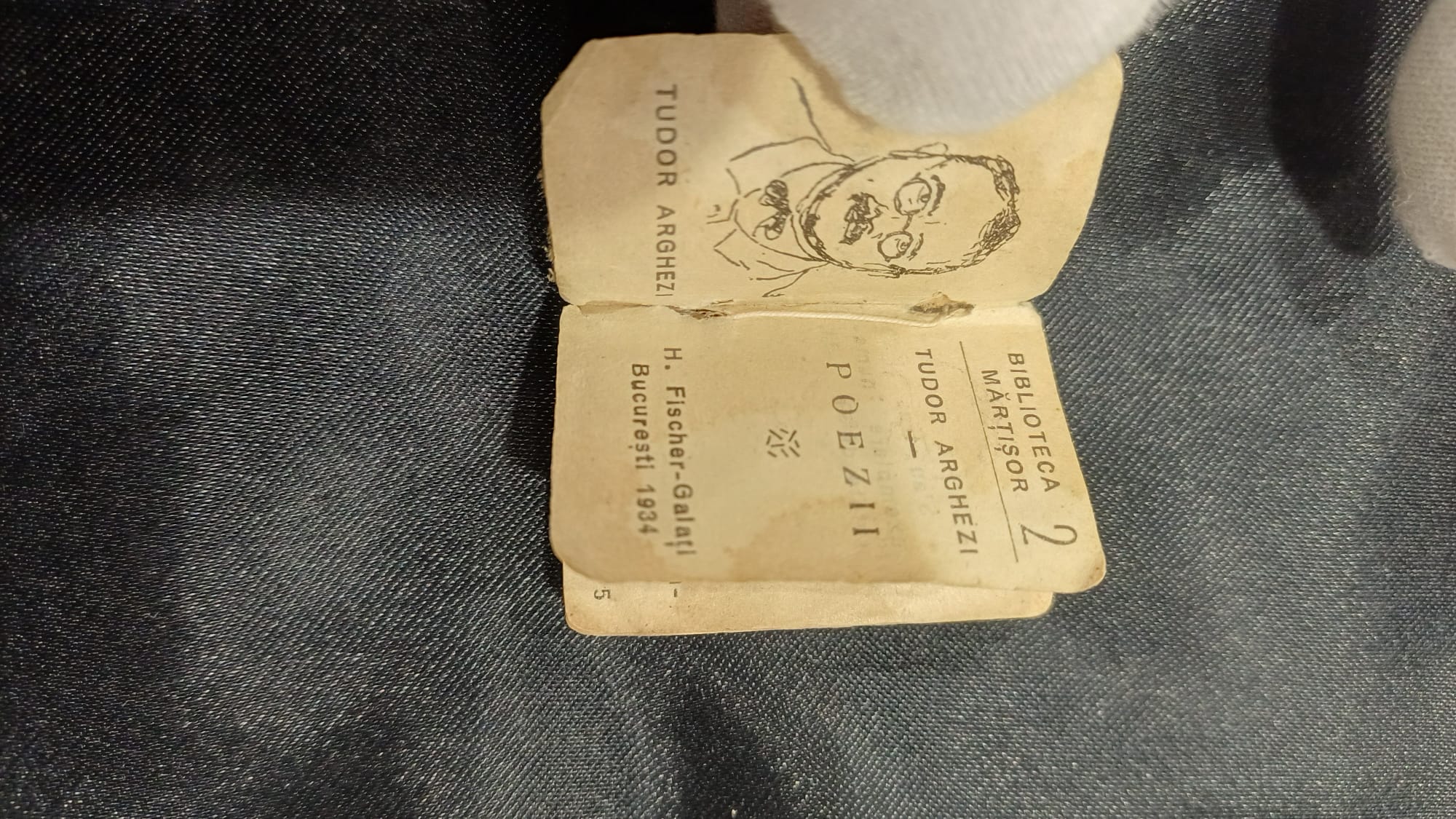 898998.jpg