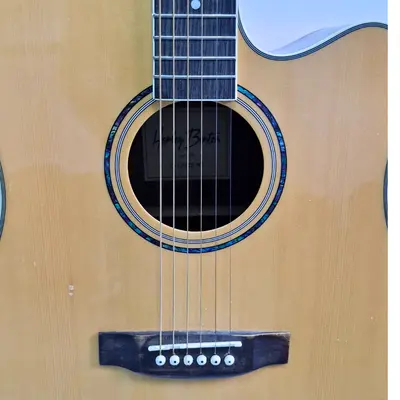 Chitara electro-acustica Harley Benton D-120CE NT ~Liquid Money Așii Amanetului 2