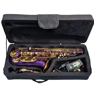 Saxofon Alto Karl Glaser ~Liquid Money Așii Amanetului