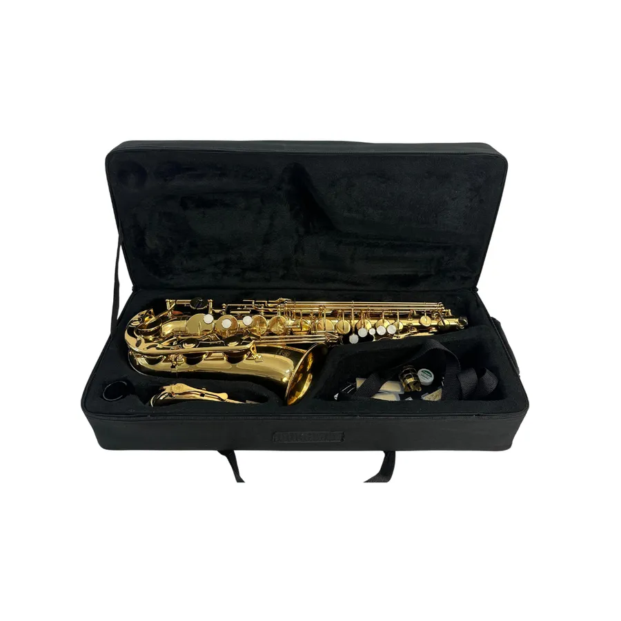 Saxofon Steinbach auriu cu geanta