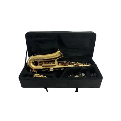 Saxofon Steinbach auriu cu geanta 2