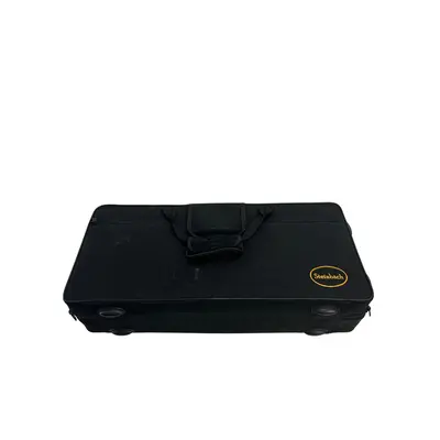 Saxofon Steinbach auriu cu geanta 3