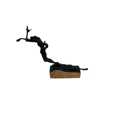 Statuie din bronz - Ion Mandrescu 2