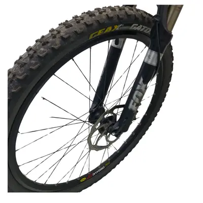 Bicicleta Giant 2