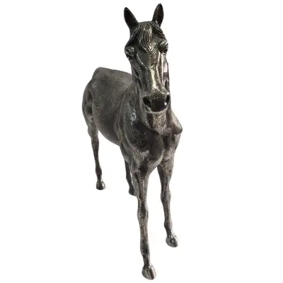 Cal de argint 1,6 kg