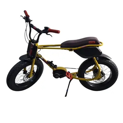 Bicicleta Ruff Cycles Lil'Buddy