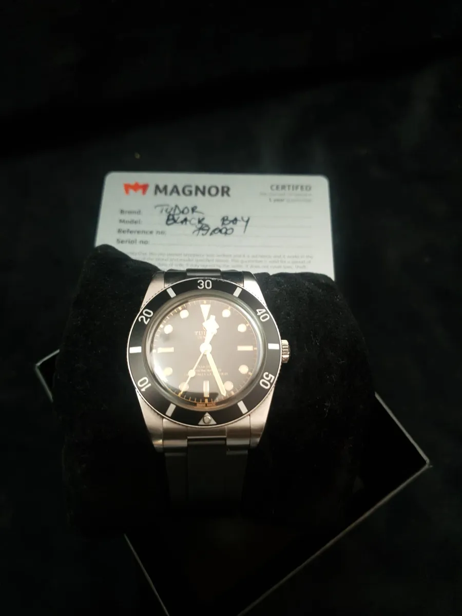 Ceas Tudor Black Bay