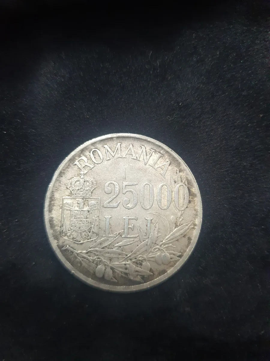 Moneda 25000 lei roamnesti