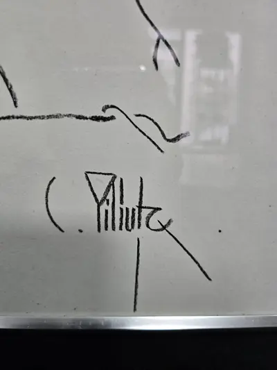 Pictura Carbune C.PILIUTA 2