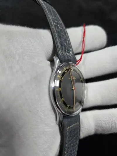 CEAS Doxa Antimagnetique, 3