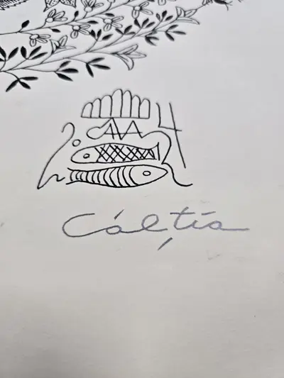 Schita Tus CALTIA 2