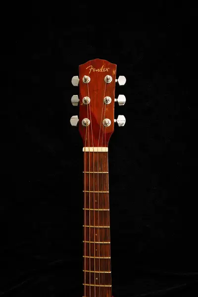Chitara acustică Fender semnata de Tudor Gheorghe si Mircea Baniciu 4