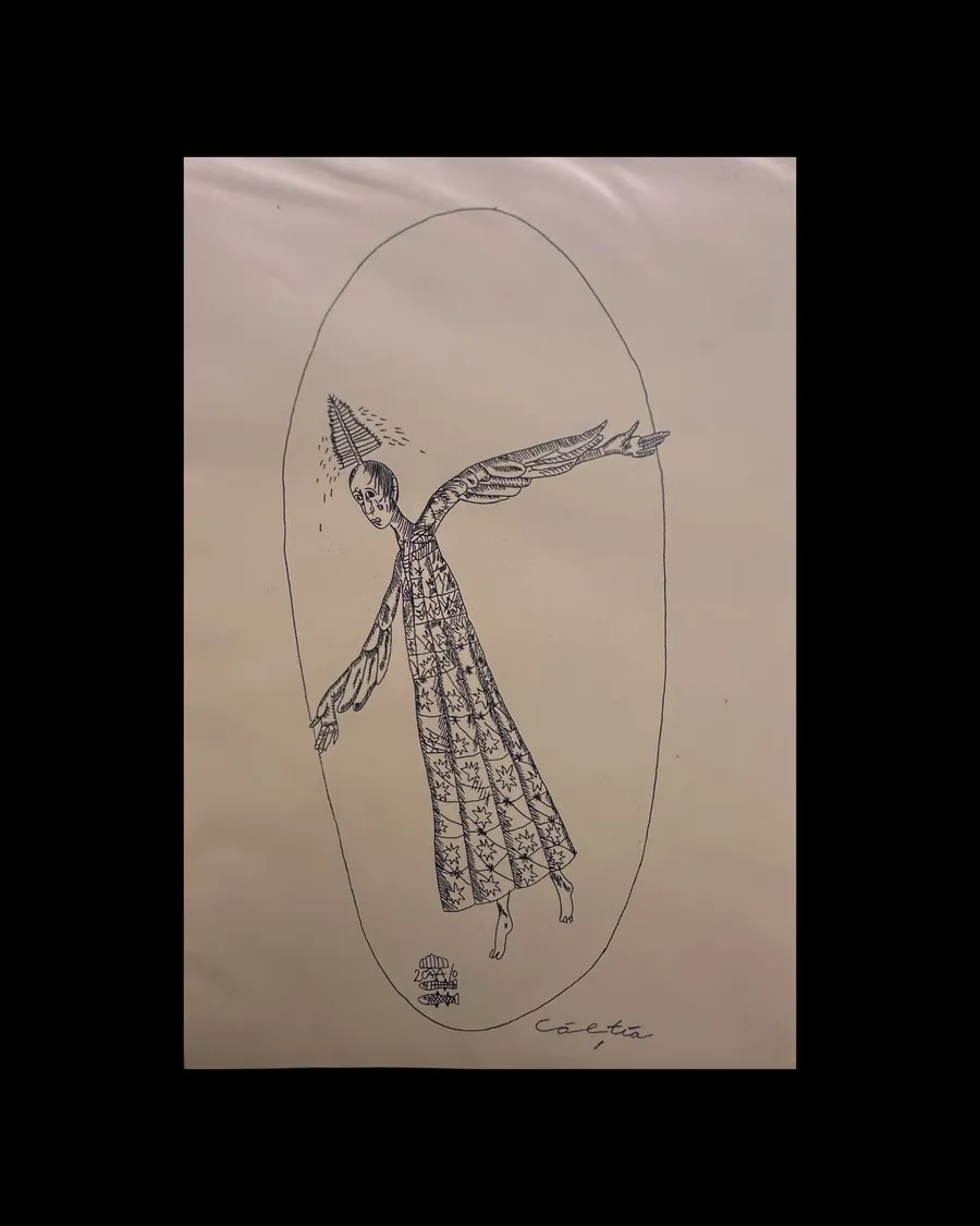 Schita originala Ștefan Căltia